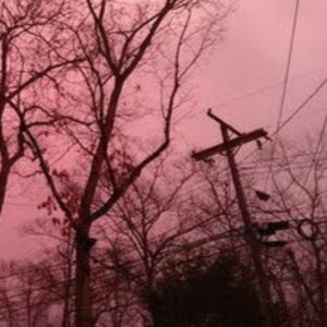 Meet your Posher, Gabrielle elise